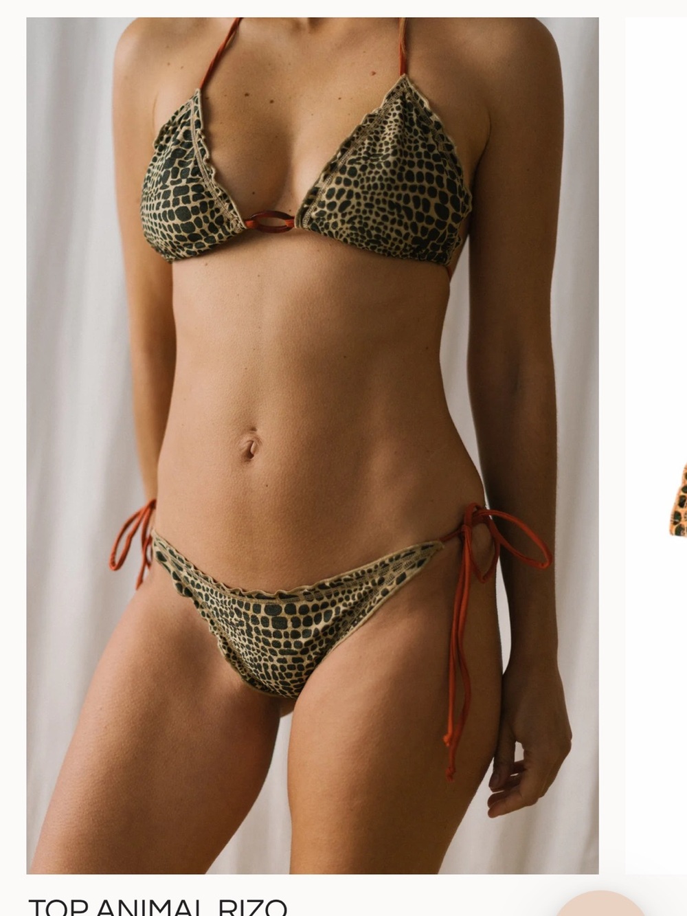 Camila ctg rizo Animal Print Triangle Bikini Set -